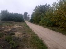 Działka budowlana Dąbrowica-Kolonia. Zdjęcie 3