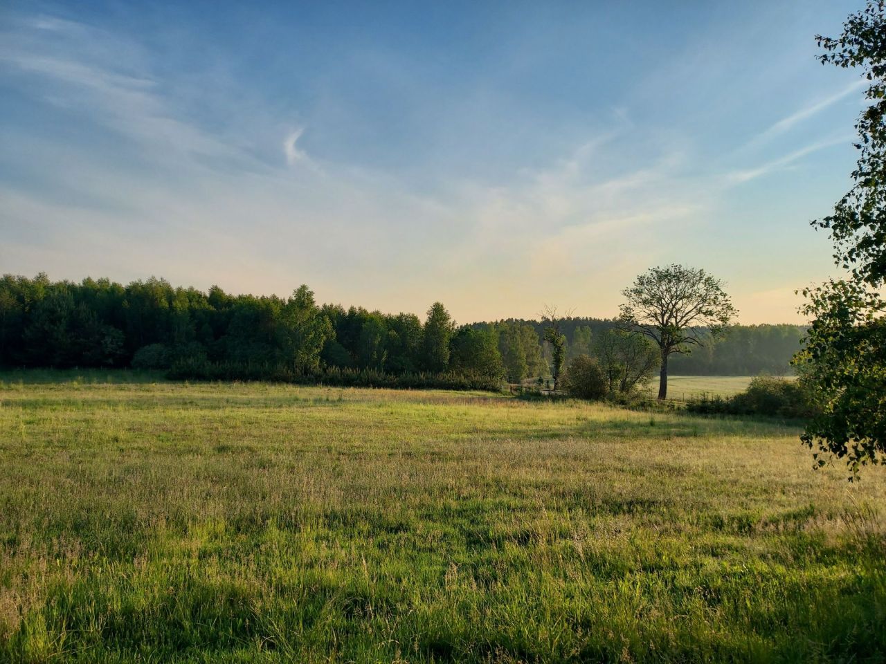 Działka rolno-budowlana Krąg. Zdjęcie 1