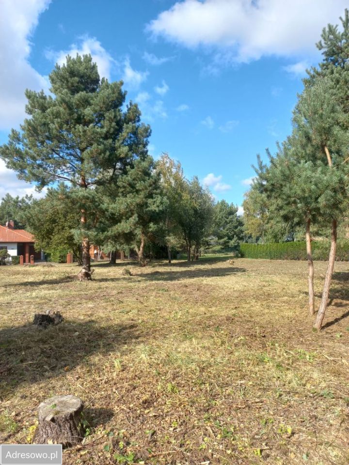 Działka budowlana Wójcin. Zdjęcie 5