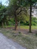 Działka rolno-budowlana Mazuchówka. Zdjęcie 1