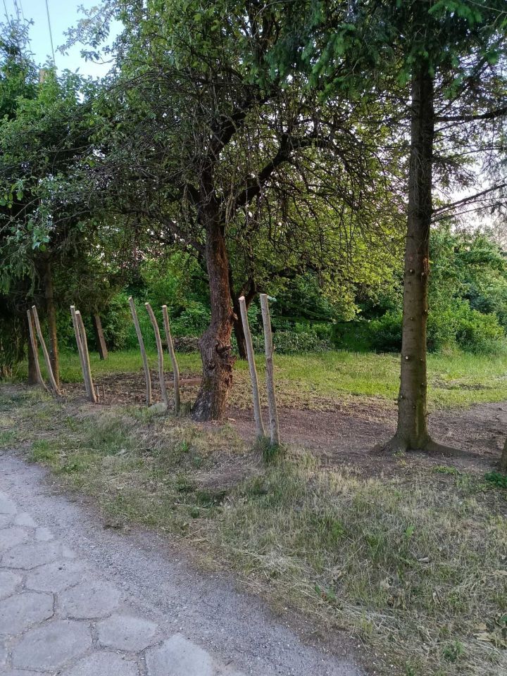 Działka rolno-budowlana Mazuchówka. Zdjęcie 2