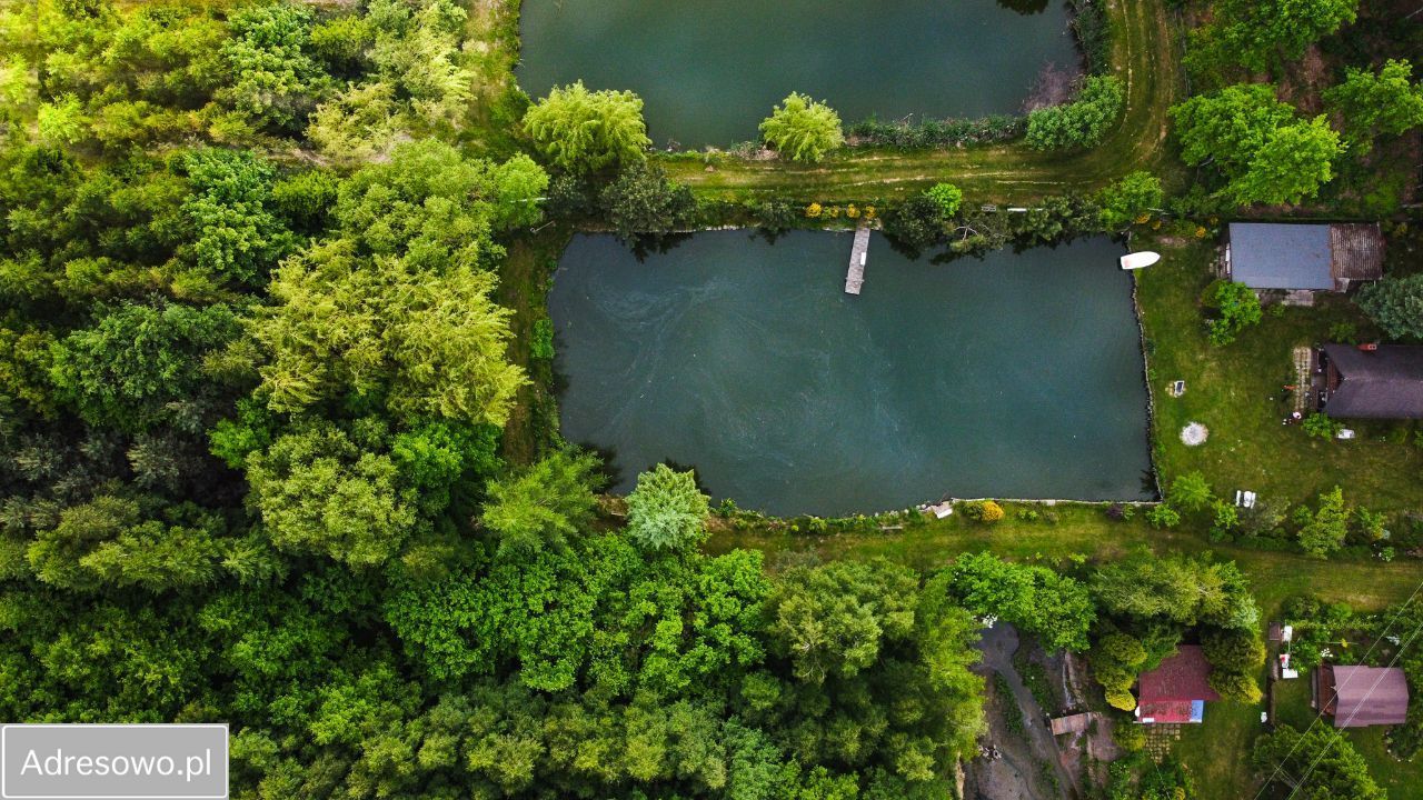 Działka siedliskowa Kalinów. Zdjęcie 5