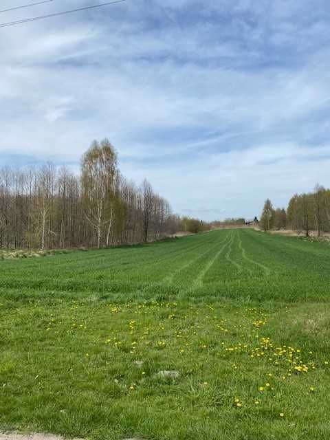 Działka rolno-budowlana Michałówek. Zdjęcie 3