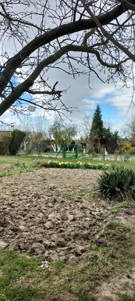 Działka rod Dzierżoniów, ul. Złota. Zdjęcie 3