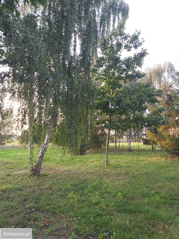 dom wolnostojący, 7 pokoi Gnatowo. Zdjęcie 11