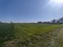 Działka budowlana Miączyn-Kolonia. Zdjęcie 1