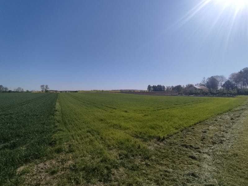 Działka budowlana Miączyn-Kolonia. Zdjęcie 2