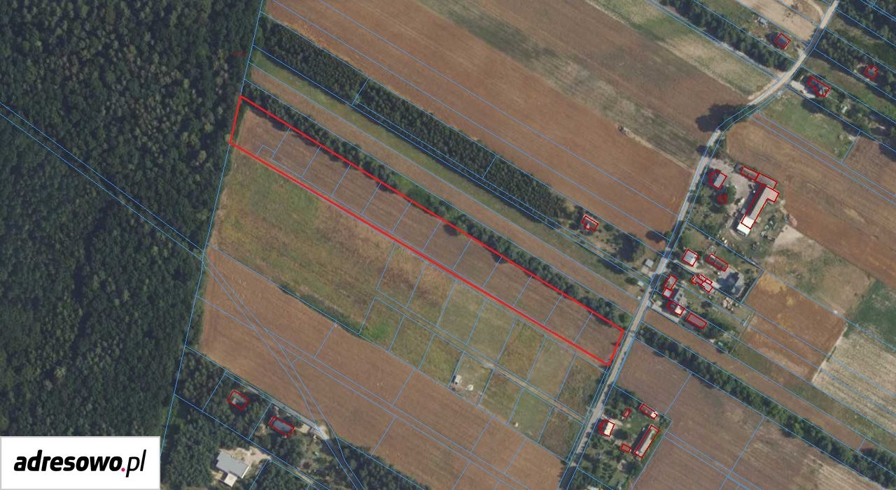 Działka budowlana Wymysły, ul. Dzikiej Róży. Zdjęcie 3