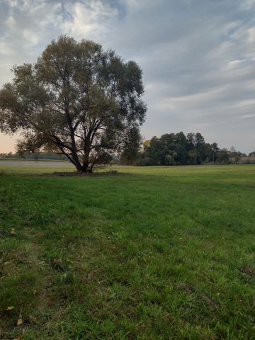 Działka siedliskowa Nowy Zglechów. Zdjęcie 1