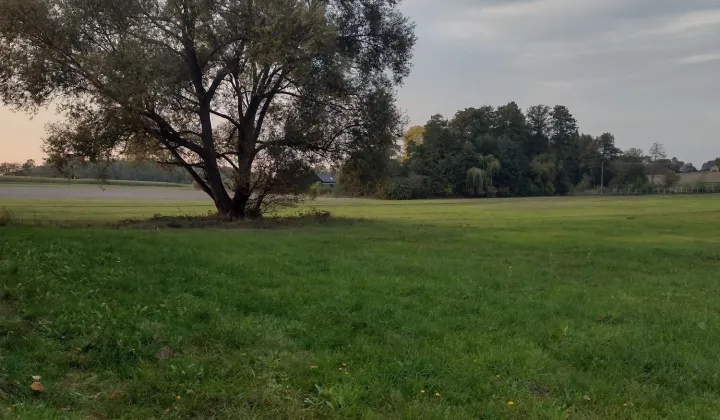Działka siedliskowa Nowy Zglechów