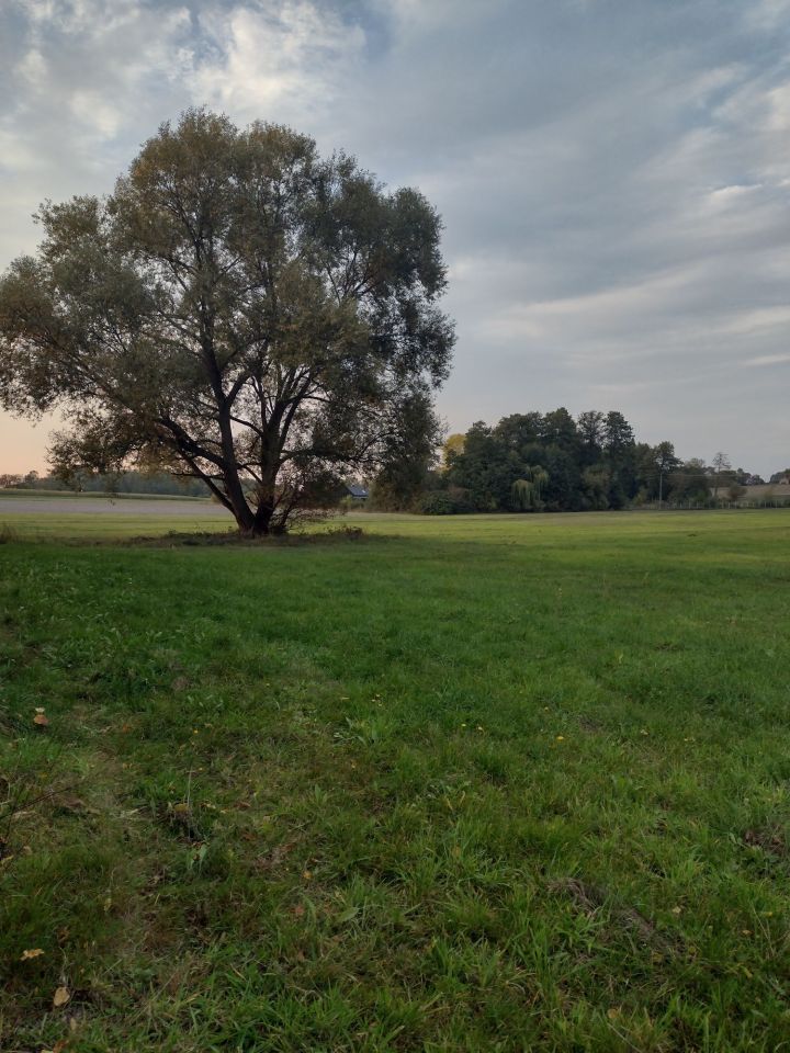 Działka siedliskowa Nowy Zglechów. Zdjęcie 1