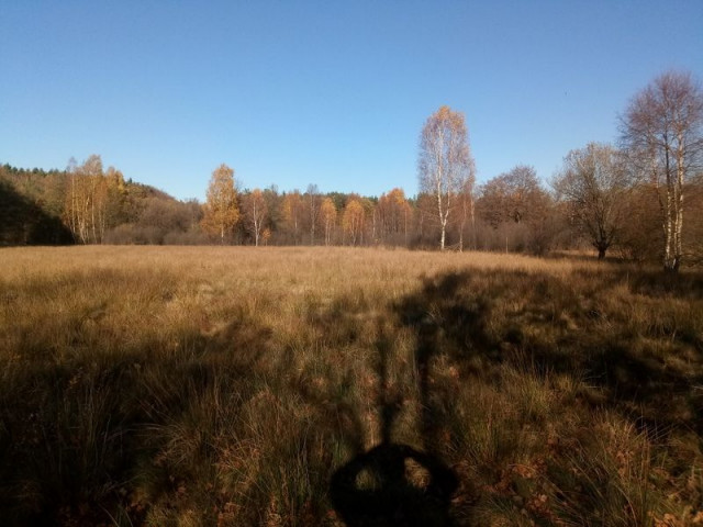 Działka rolna Donimierz Granicznik. Zdjęcie 1