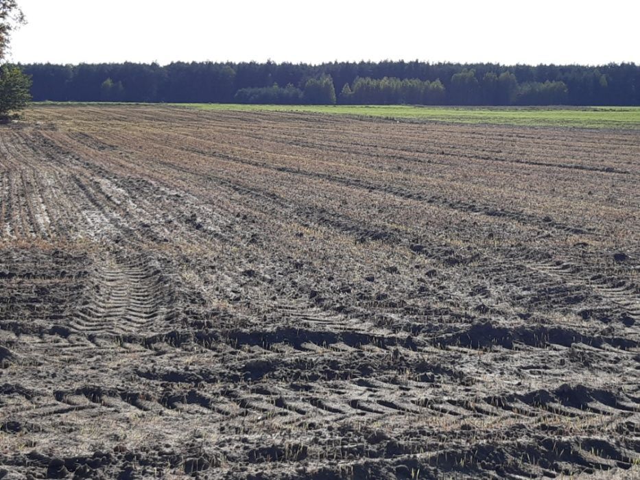 Działka budowlana Osowa. Zdjęcie 5