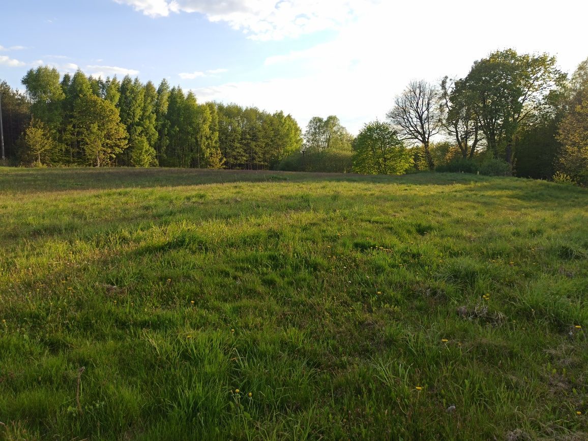 Działka rolno-budowlana Jurki. Zdjęcie 3