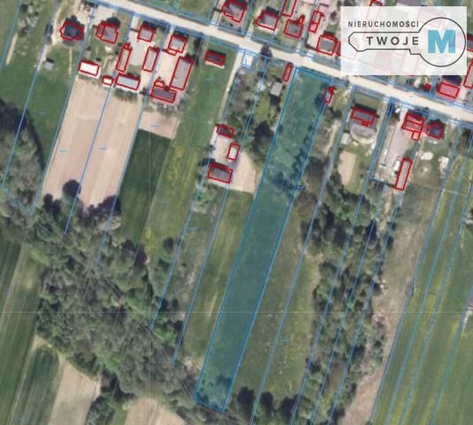 Działka rolna Sieradowice Drugie. Zdjęcie 4