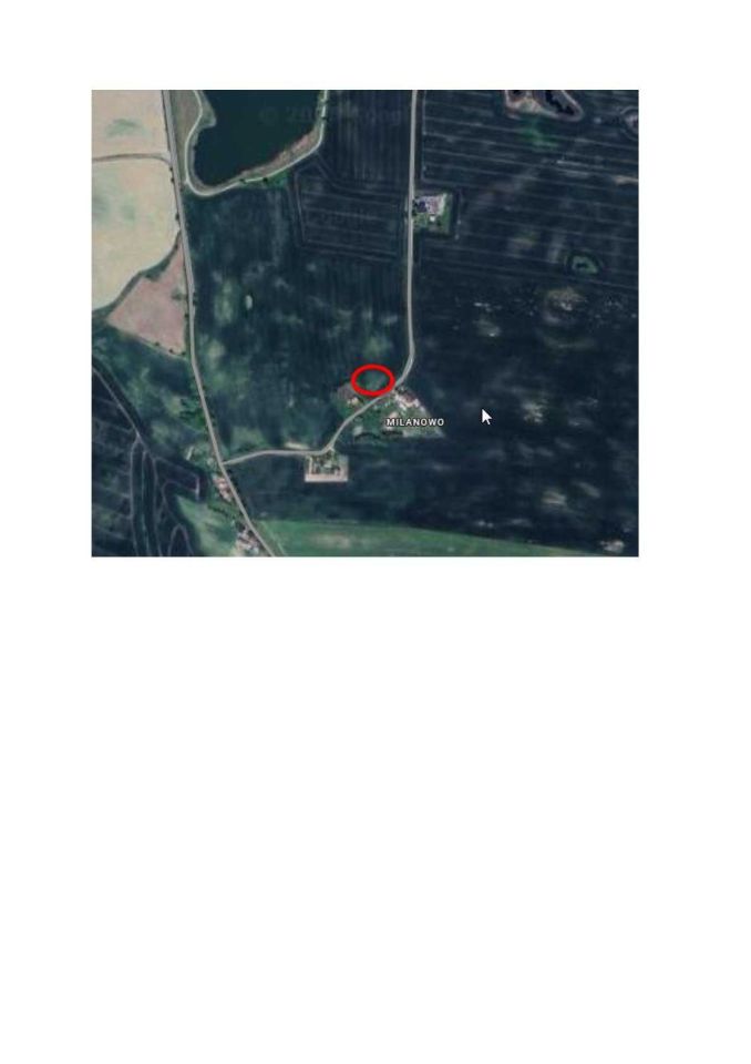 Działka budowlana Jeleń. Zdjęcie 4