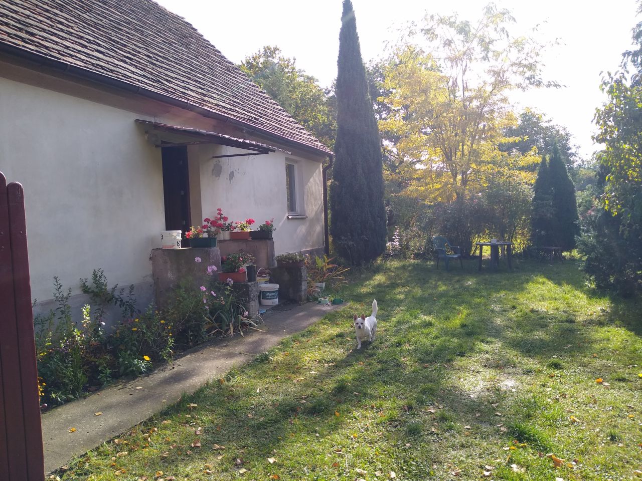 dom wolnostojący, 3 pokoje Drzeńsk Mały. Zdjęcie 2