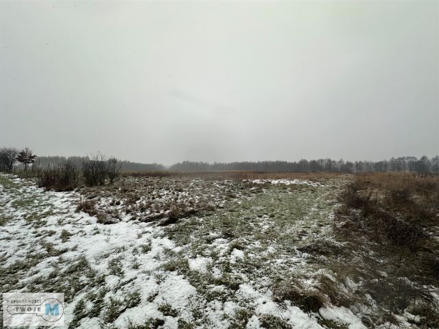 Działka rolna Śladków Duży. Zdjęcie 13