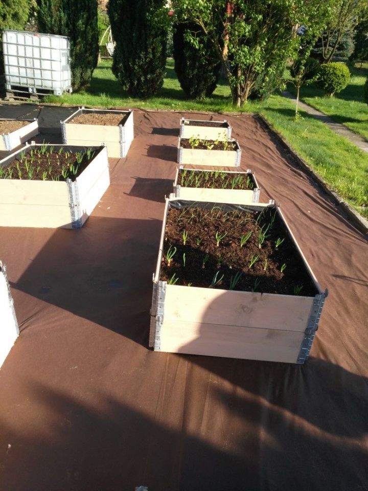 Działka rod Szczecin Dąbie, ul. Szybowcowa. Zdjęcie 8