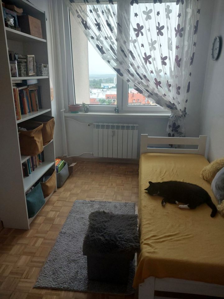 Mieszkanie 3-pokojowe Zielona Góra Centrum, ul. 1 Maja. Zdjęcie 19