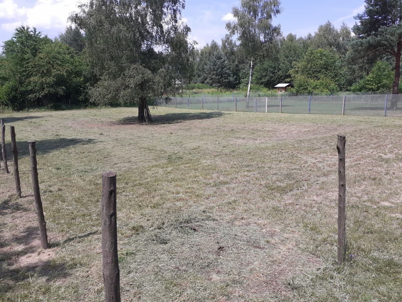 Działka budowlana Częstochowa Kiedrzyn, ul. Tadeusza Mazowieckiego. Zdjęcie 2