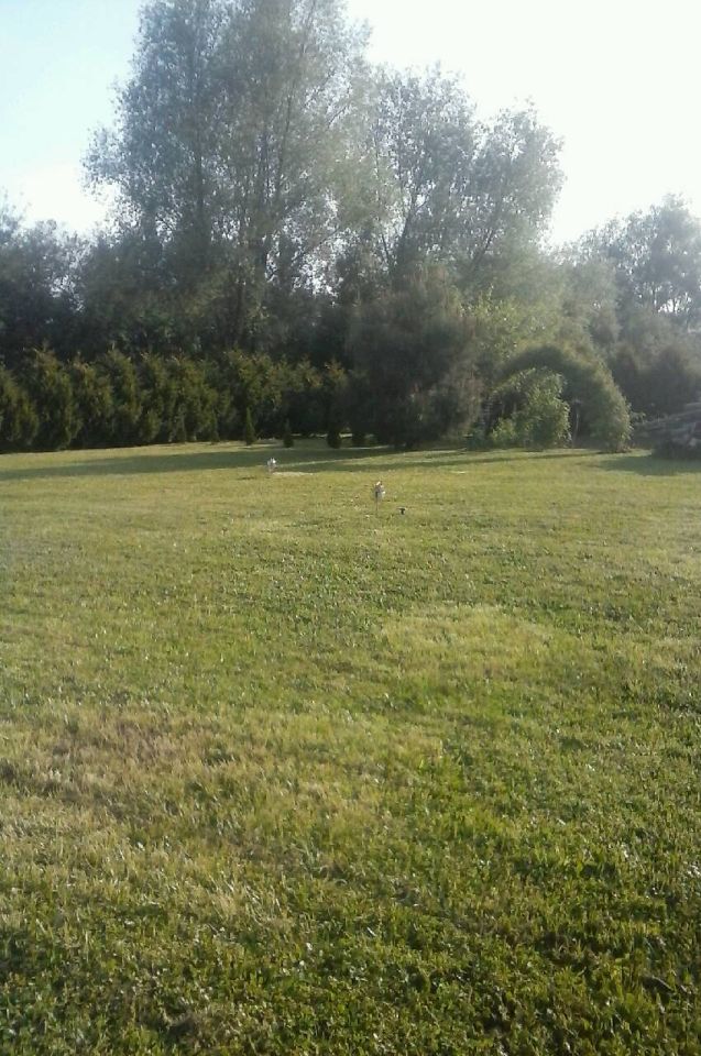 Działka budowlana Gorzów Wielkopolski Wieprzyce, ul. Dolna. Zdjęcie 11