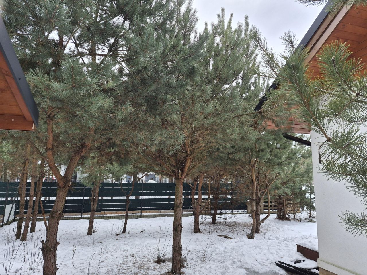 dom wolnostojący, 4 pokoje Żółwin, ul. Żaby. Zdjęcie 8