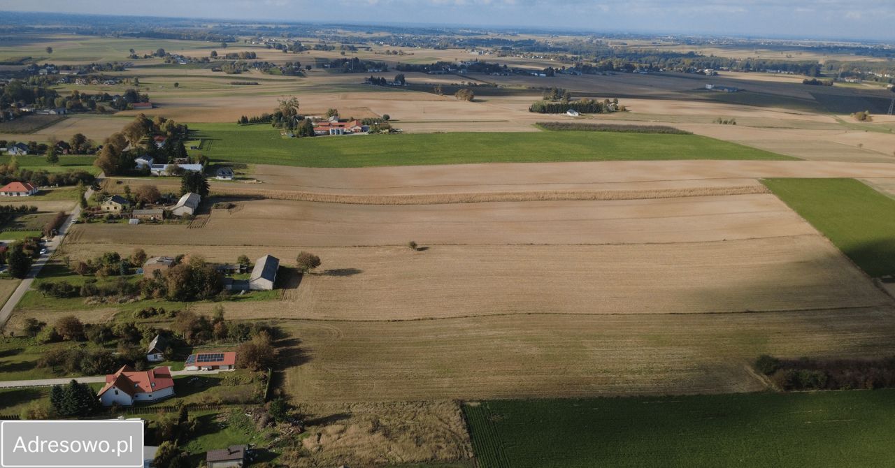 Działka rolno-budowlana Tomaszowice. Zdjęcie 6
