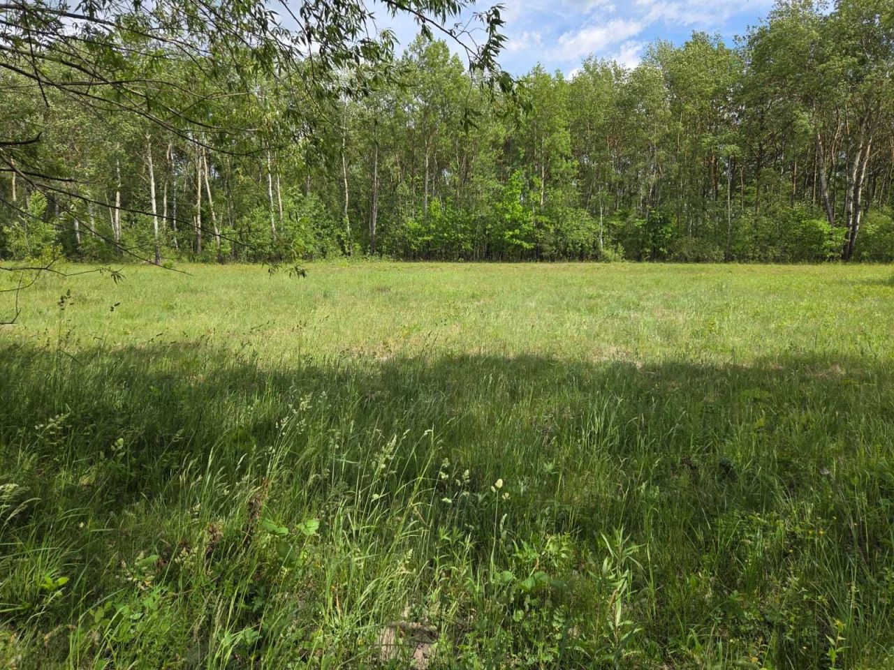 Działka rekreacyjna Węszelówka. Zdjęcie 4