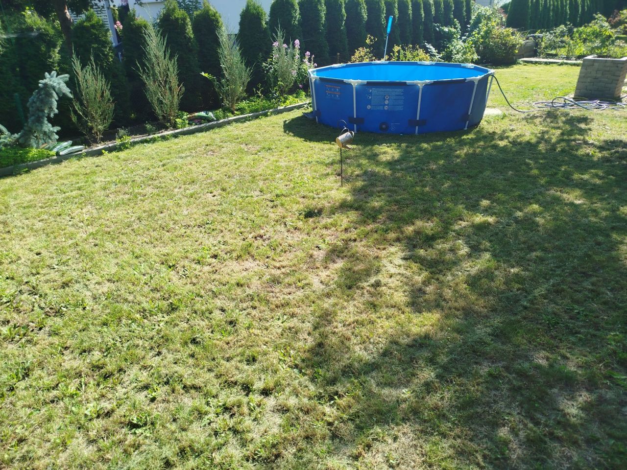 Działka rod Piotrków Trybunalski, ul. Gęsia. Zdjęcie 7