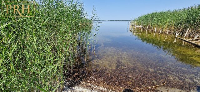 Działka rekreacyjna Gleźnowo. Zdjęcie 7