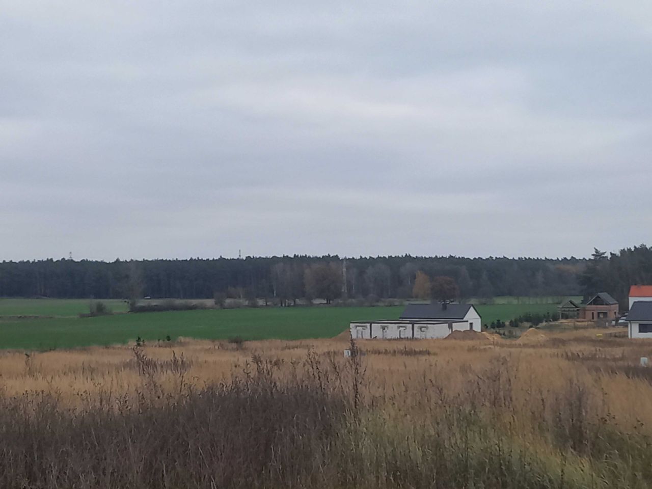 Działka budowlana Radzyny, ul. Winogronowa