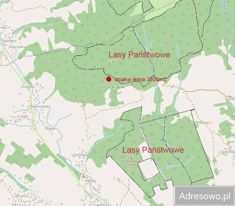 Działka leśna Tokarnia. Zdjęcie 8