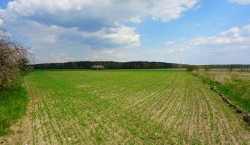 Działka budowlana Modrzew