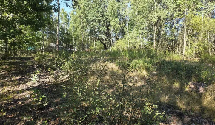 Działka rolna Chobot