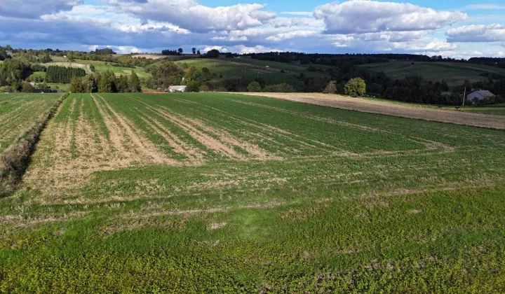 Działka rolno-budowlana Minoga