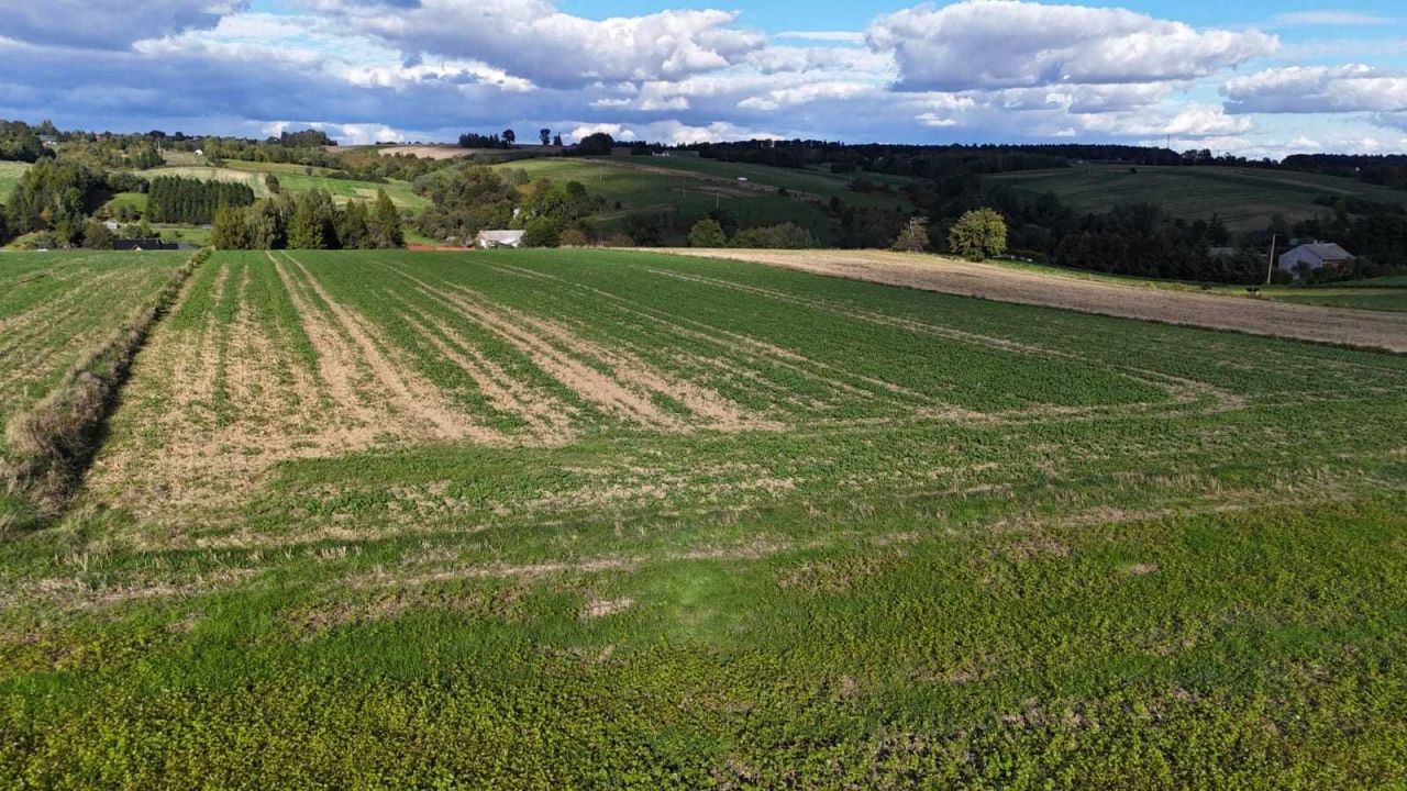 Działka rolno-budowlana Minoga