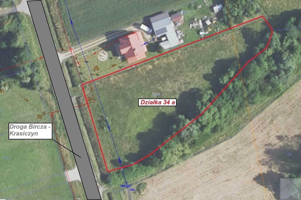 Działka Olszany. Zdjęcie 4