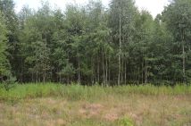 Działka rolno-budowlana Wola Karczewska, ul. Leszczyny. Zdjęcie 3