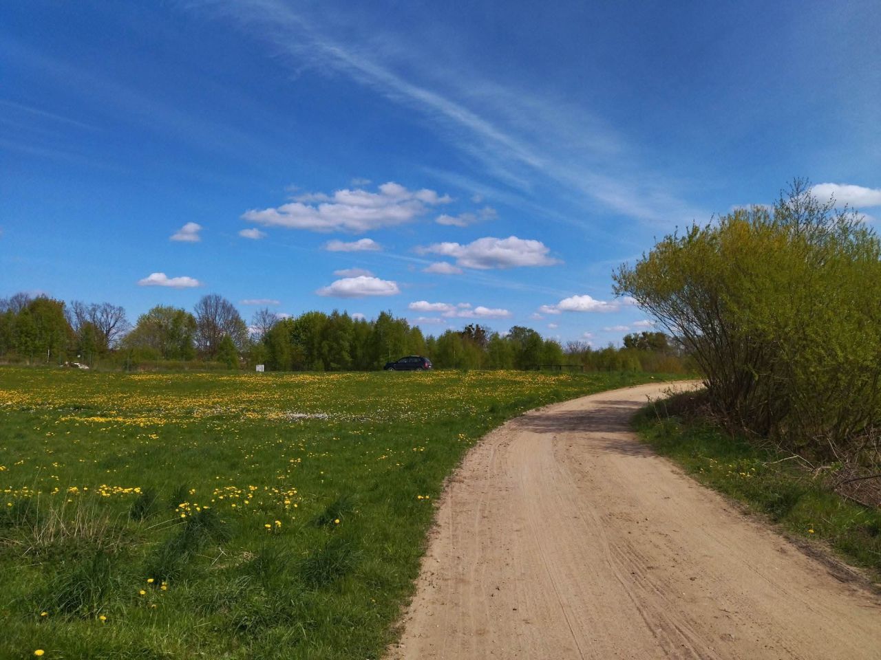 Działka rekreacyjna Raj. Zdjęcie 14