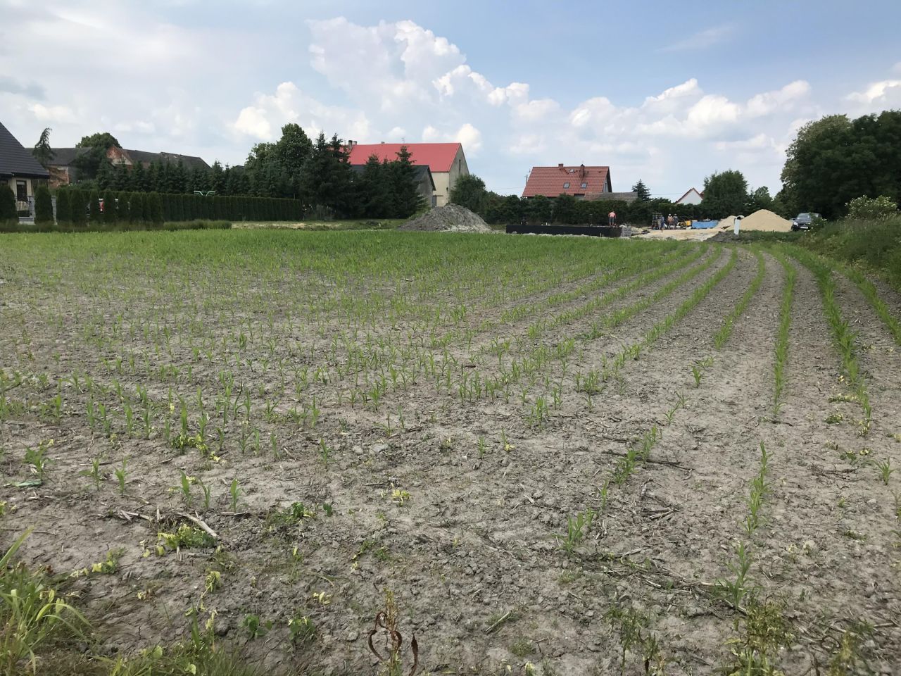 Działka budowlana Kurów. Zdjęcie 3