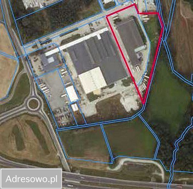 Hala/magazyn Prusice. Zdjęcie 2