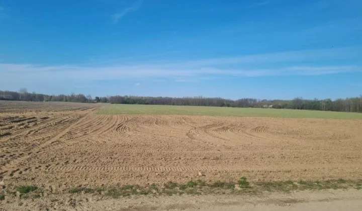 Działka rolna Nowy Łajszczew