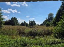 Działka Białe. Zdjęcie 3