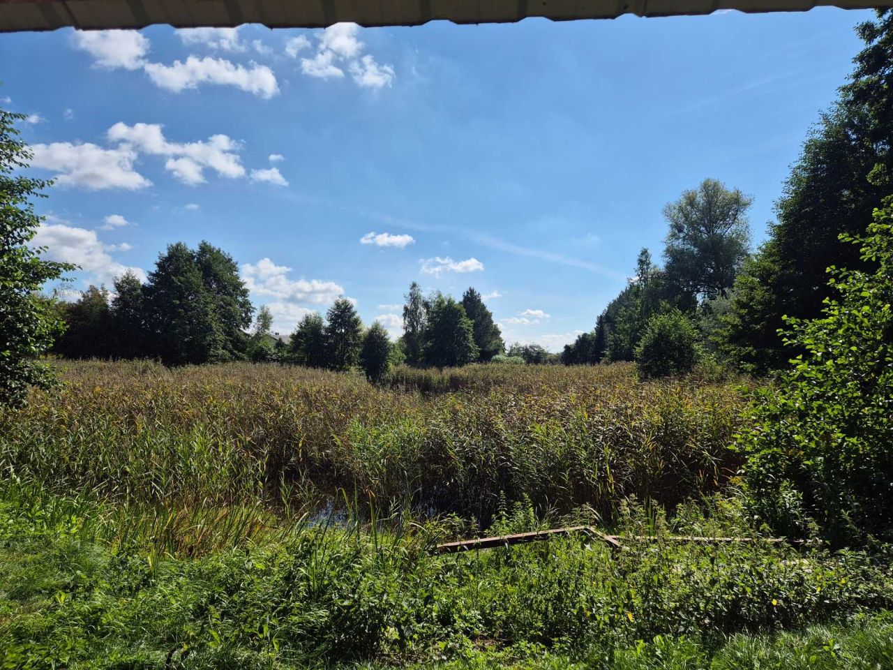 Działka Białe. Zdjęcie 4