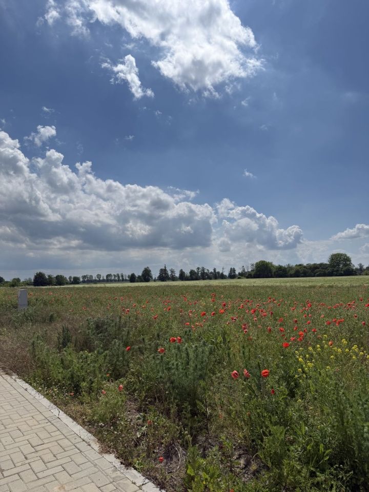 Działka budowlana Opalenica, ul. Wyzwolenia. Zdjęcie 4