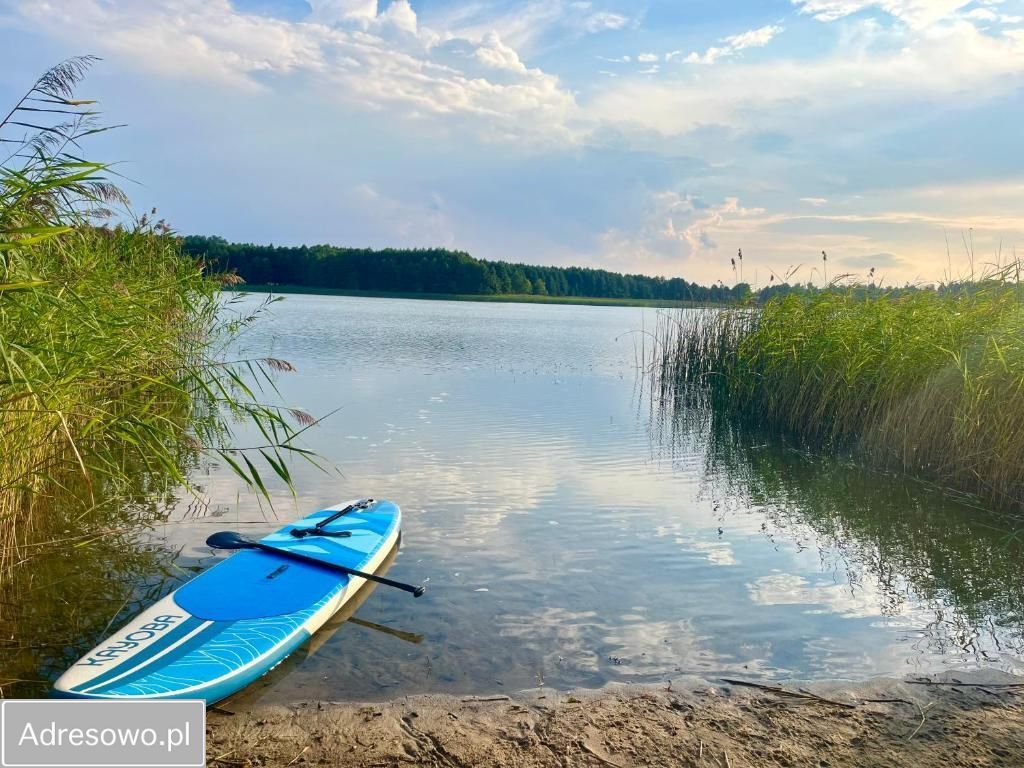 Działka rolno-budowlana Pasterzewo. Zdjęcie 8