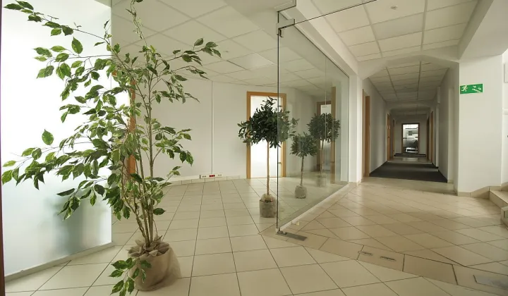 Biuro Poznań Nowe Miasto, ul. Warszawska