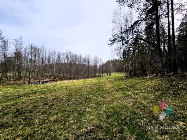 Działka rolna Prawdowo. Zdjęcie 4