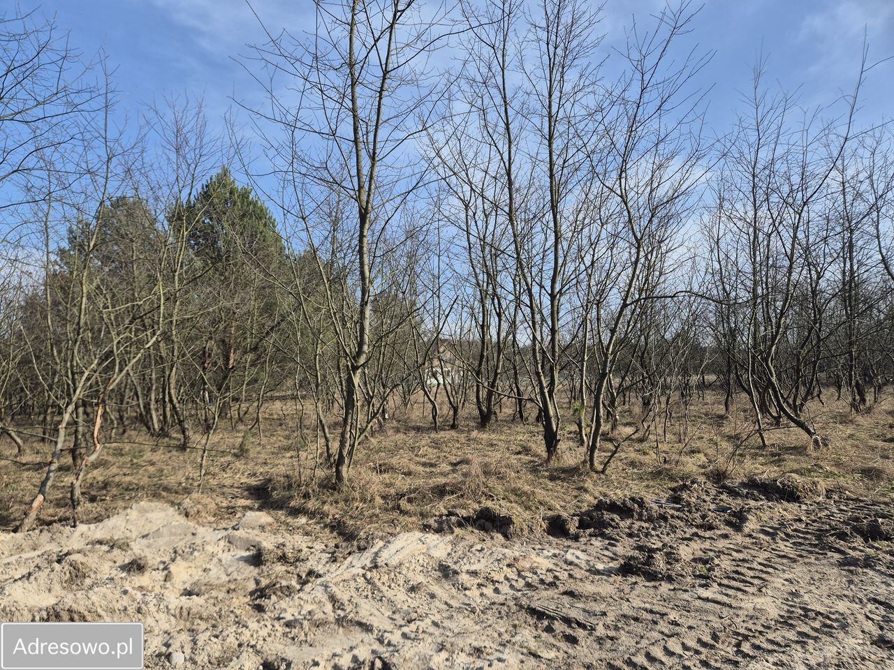 Działka budowlana Wszemirów. Zdjęcie 6